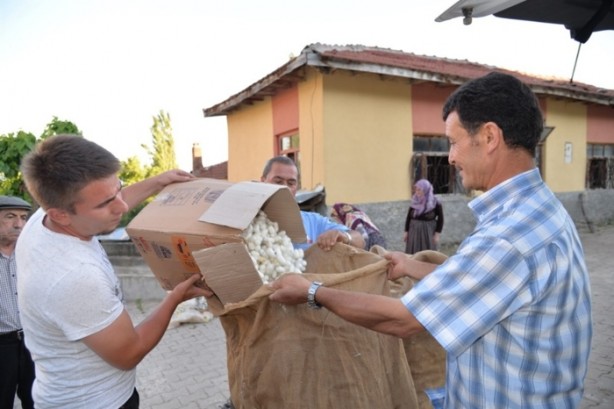 Foto - 1 kutusu asgari ücrete denk! 