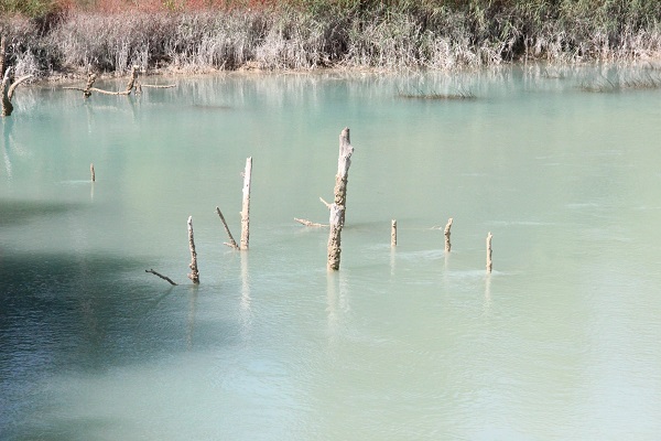1 milyar metreküp su denize akıyor