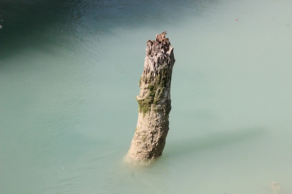 Foto - 1 milyar metreküp su denize akıyor