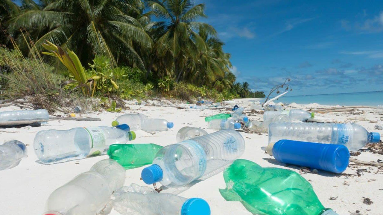 Foto - 1 milyar tona ulaşacak... Görev herkese düşüyor! 2060 yılında dünyayı bekleyen tehlike