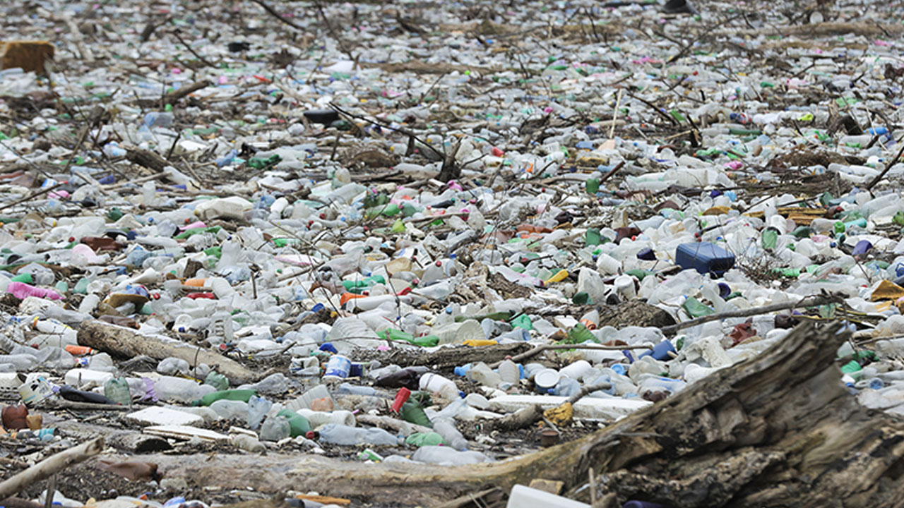 1 milyar tona ulaşacak... Görev herkese düşüyor! 2060 yılında dünyayı bekleyen tehlike