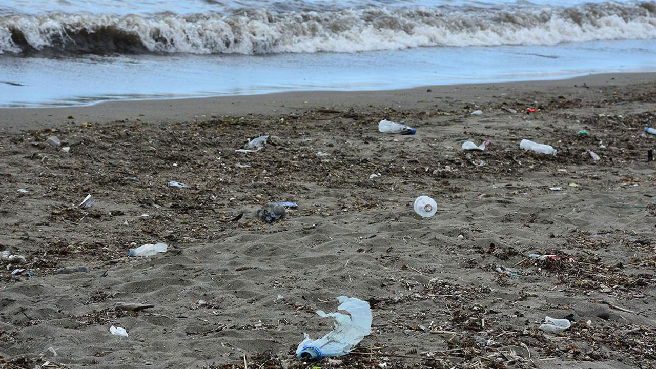 Foto - 1 milyar tona ulaşacak... Görev herkese düşüyor! 2060 yılında dünyayı bekleyen tehlike