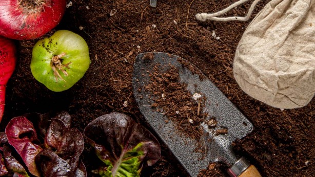 Foto - 1 milyarı aşkın borcu var! Türkiye'nin tarım kralı iflas ediyor