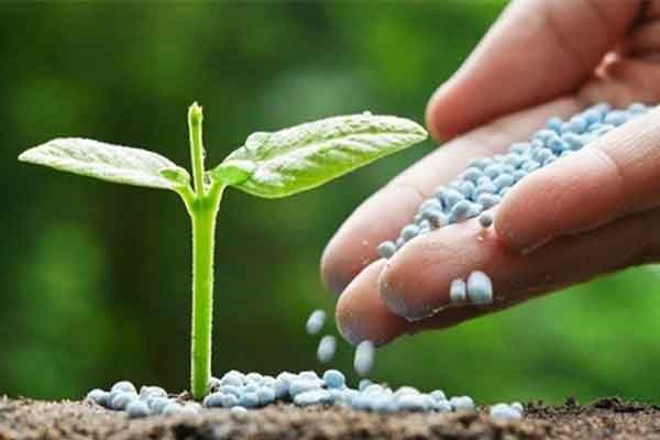 Foto - 1 milyarı aşkın borcu var! Türkiye'nin tarım kralı iflas ediyor