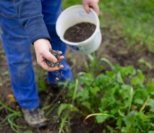 Foto - 1 milyarı aşkın borcu var! Türkiye'nin tarım kralı iflas ediyor
