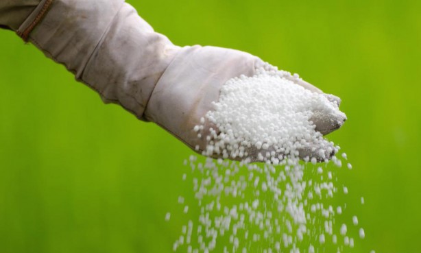 Foto - 1 milyarı aşkın borcu var! Türkiye'nin tarım kralı iflas ediyor