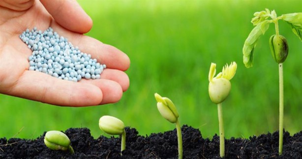 Foto - 1 milyarı aşkın borcu var! Türkiye'nin tarım kralı iflas ediyor