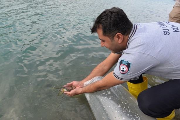 Foto - 1 milyon 489 bin tane! Kahramanmaraş'ta baraj ve göletlere bırakıldı