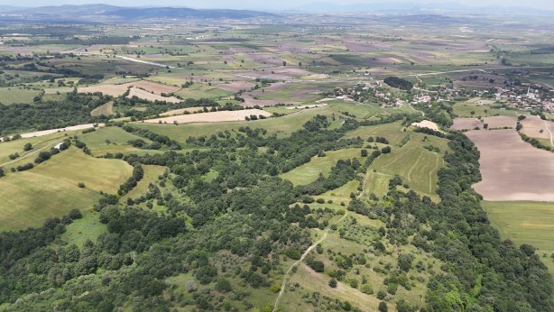 Foto - 1 milyon liranız 7,5 milyon lira olacak! Uzman isim tüyoyu verdi: Hem de sadece 5 yılda
