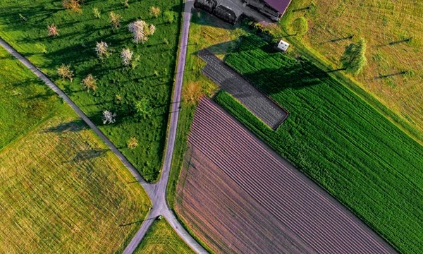 Foto - 1 milyon liranız 7,5 milyon lira olacak! Uzman isim tüyoyu verdi: Hem de sadece 5 yılda