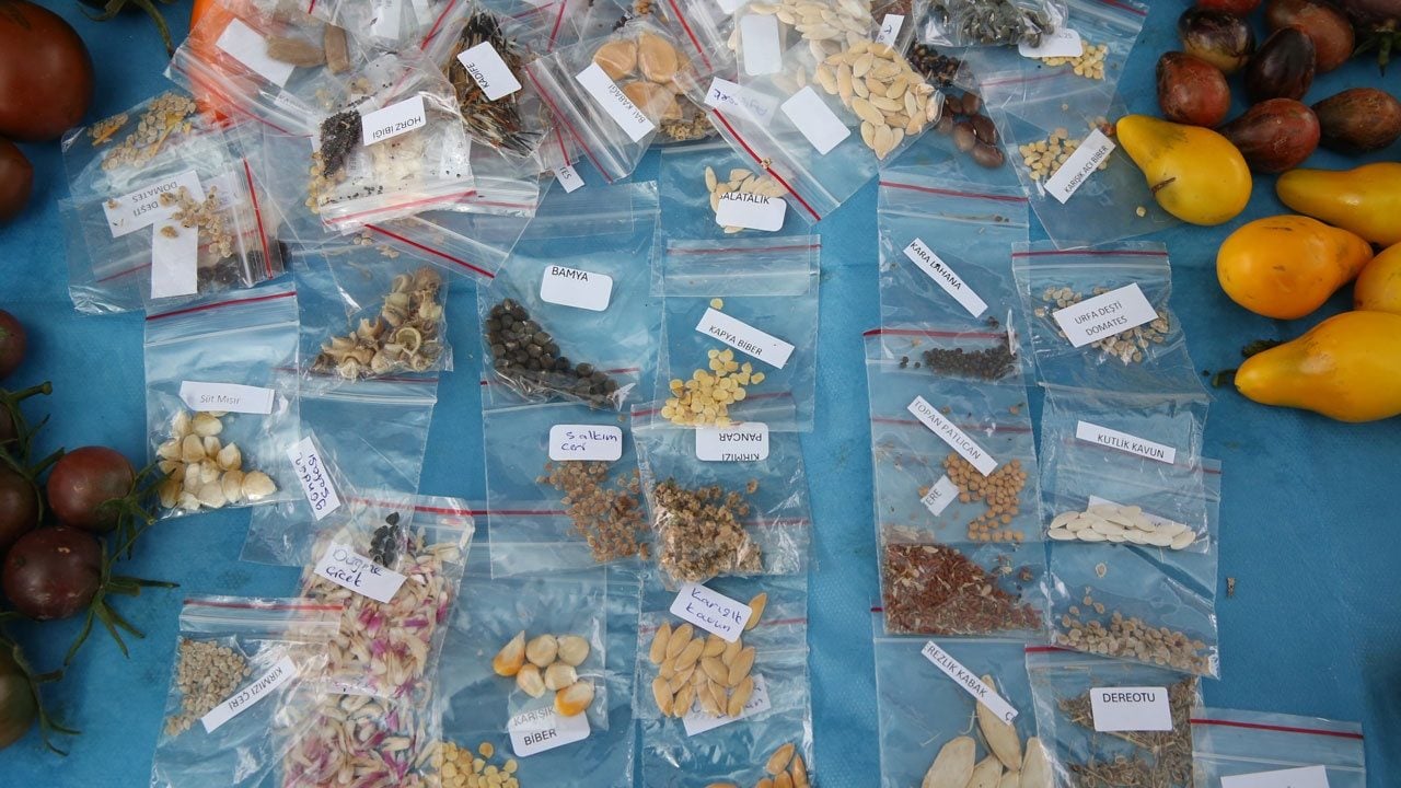 Foto - 1 milyona yakın paket ulaştırdı! Ata tohumları için 11 yıldır durmadan çalışıyor 