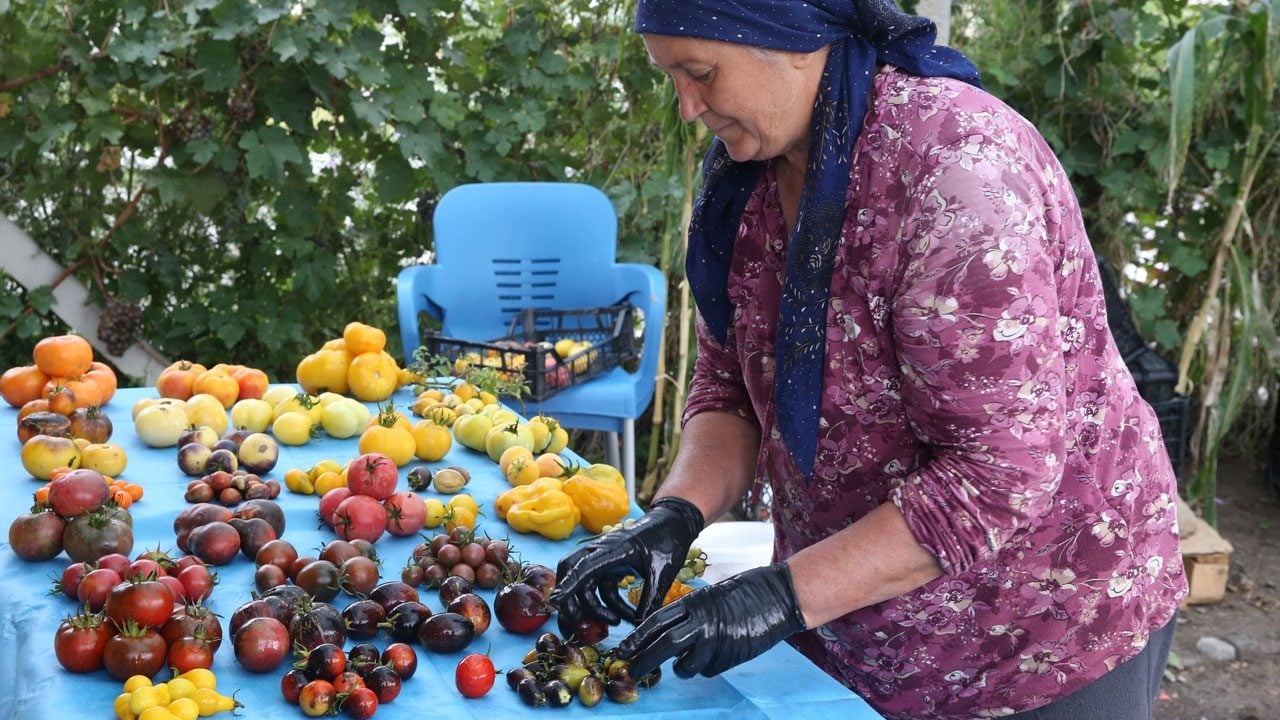 Foto - 1 milyona yakın paket ulaştırdı! Ata tohumları için 11 yıldır durmadan çalışıyor 