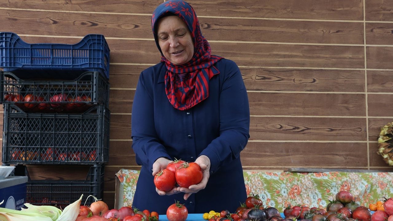 1 milyona yakın paket ulaştırdı! Ata tohumları için 11 yıldır durmadan çalışıyor 