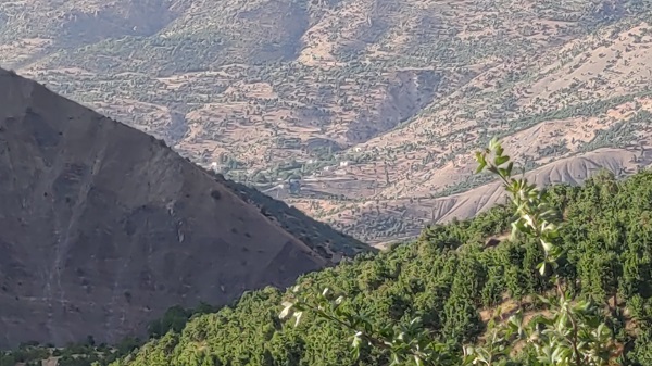 Foto - 1 saatlik yürüyüşle ulaşılıyor! Mağaranın içindeki gizem