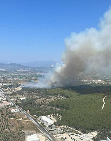 Foto - 1 sigara izmariti ile 160 hektar alan yok oldu