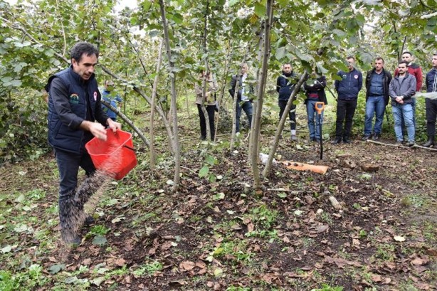 Foto - 1 taşla 2 kuş! Fındık üreticisine bayram ettiren formül
