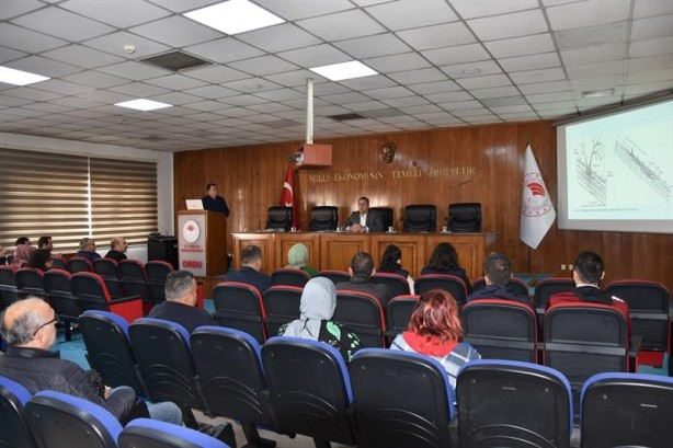 Foto - 1 taşla 2 kuş! Fındık üreticisine bayram ettiren formül