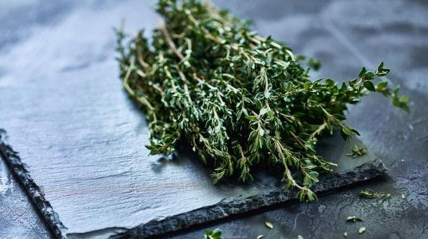 Foto - 1 tatlı kaşığı bile hafızayı zehir gibi yapıyor! Beyne direkt etki eden mucize baharat