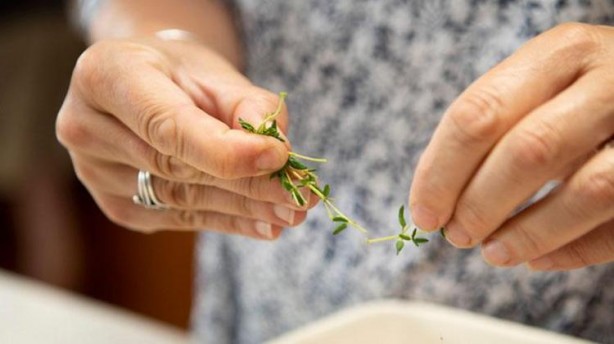 Foto - 1 tatlı kaşığı bile hafızayı zehir gibi yapıyor! Beyne direkt etki eden mucize baharat