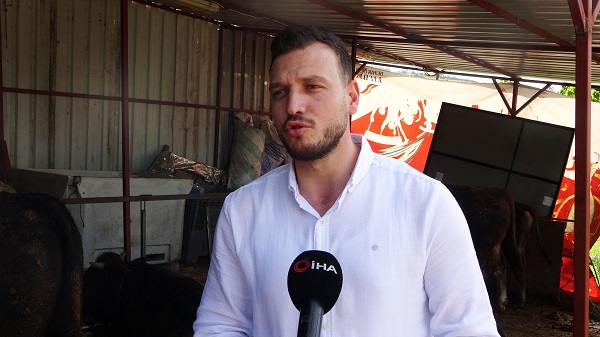 Foto - 1 ton 100 kiloluk Paşa'nın fiyatı dudak uçuklattı