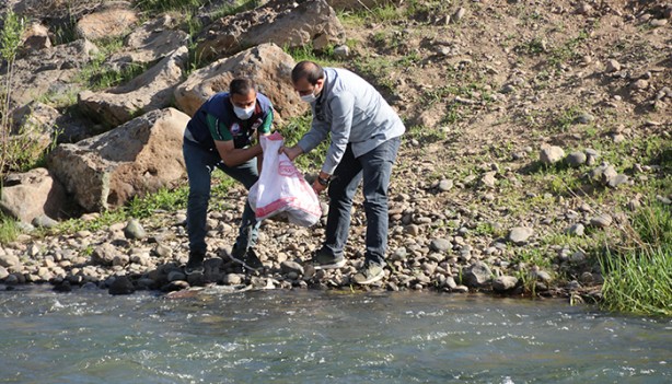 Foto - 1 ton canlı inci kefali suya bırakıldı