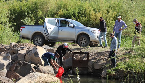 Foto - 1 ton canlı inci kefali suya bırakıldı