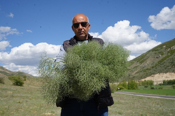 Foto - 10-15 km yol kat ediyorlar! Protein deposunun zorlu yolculuğu