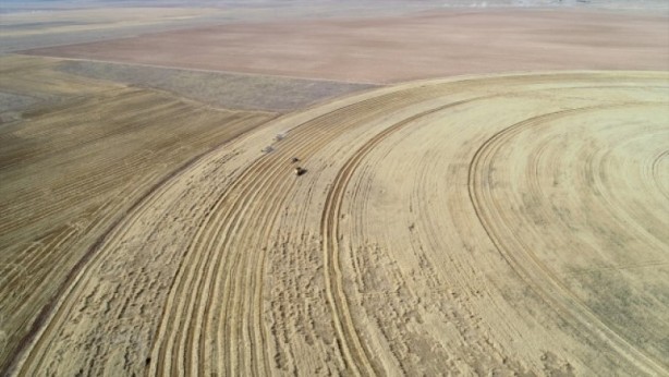 Foto - 10 biçerdöver kese kese bitiremedi! Görenler "maşallah" dedi