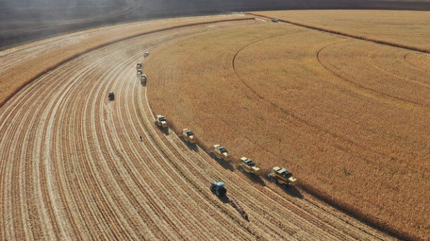 Foto - 10 biçerdöver kese kese bitiremedi! Görenler "maşallah" dedi