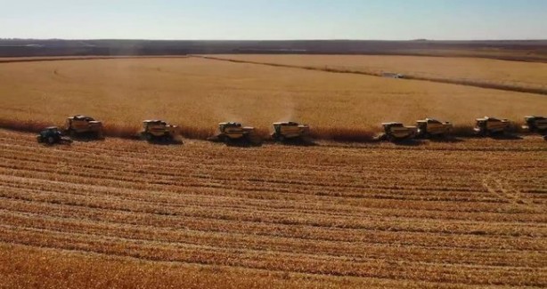 Foto - 10 biçerdöver kese kese bitiremedi! Görenler "maşallah" dedi