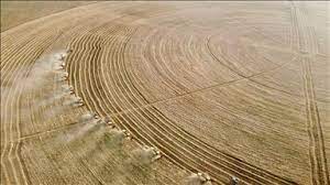 Foto - 10 biçerdöver kese kese bitiremedi! Görenler "maşallah" dedi