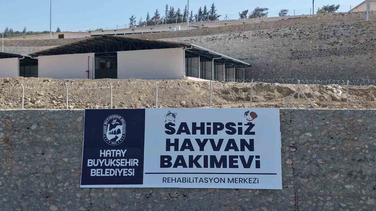 10 bin hayvana yuva: Açılış Kurban Bayramı öncesi