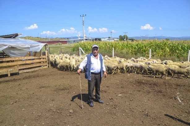 Foto - 10 bin TL’ye çalışacak çoban bulamıyor!