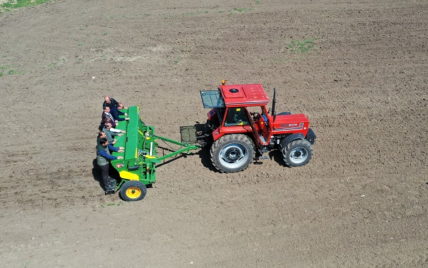 Foto - 10 dönüm alana karabuğday ekildi