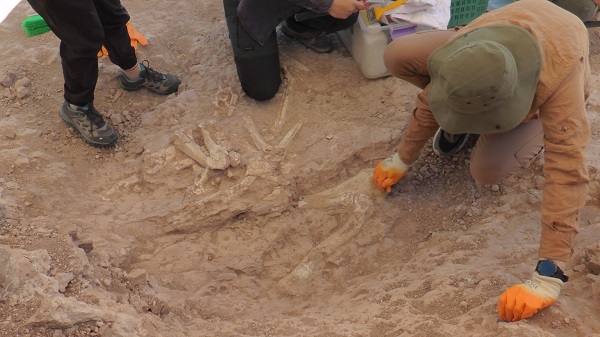 Foto - 10 farklı medeniyete ev sahipliği yapan şehir