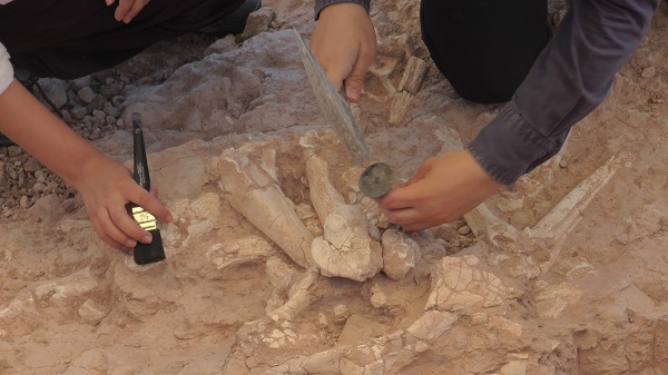 Foto - 10 farklı medeniyete ev sahipliği yapan şehir