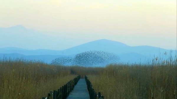 Foto - 10 farklı medeniyete ev sahipliği yapan şehir