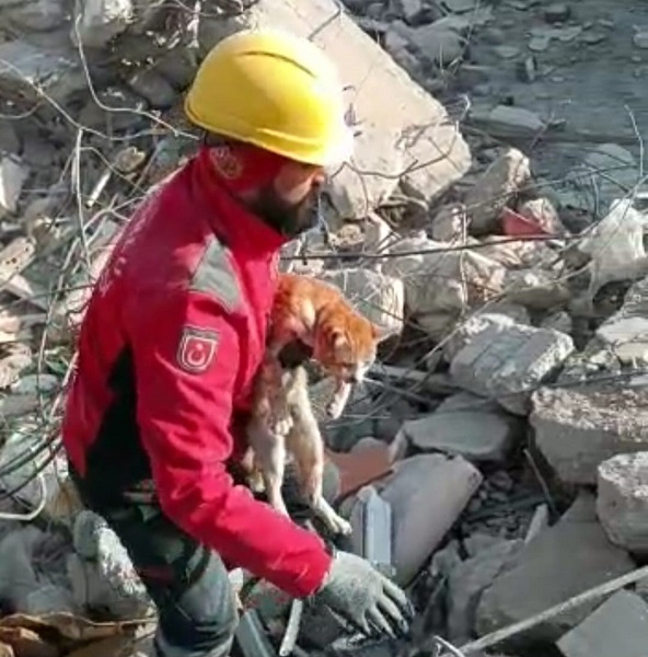 Foto - 10 gün sonra kurtuldu! Minik kedi yüzleri güldürdü