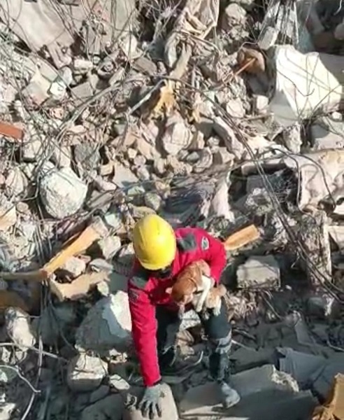 Foto - 10 gün sonra kurtuldu! Minik kedi yüzleri güldürdü