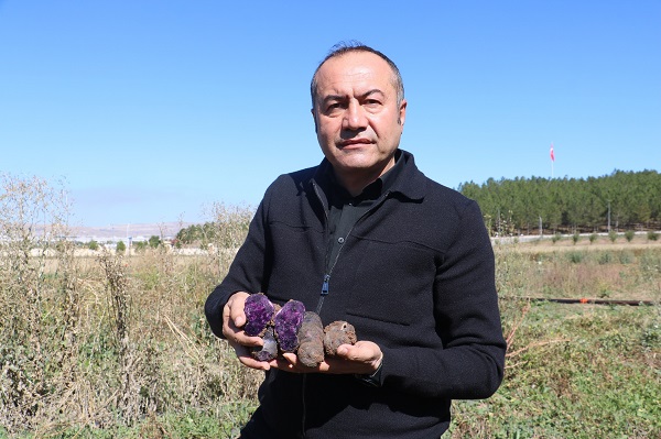 Foto - 10 kat daha besleyici! Rengiyle dikkat çeken bu sebze her derde deva