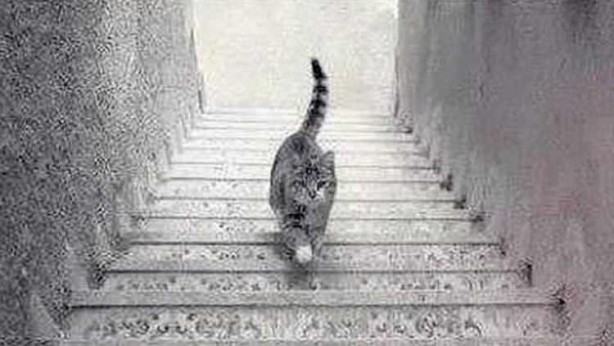 Foto - 10 kişiden sadece 1'i fark edebiliyordu! Japon profesör gerçeği açıkladı