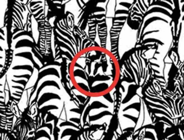 Foto - 10 kişiden sadece 1'i fark edebiliyordu! Japon profesör gerçeği açıkladı