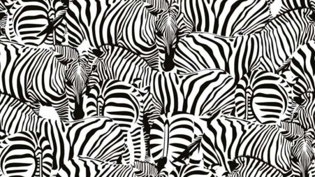 Foto - 10 kişiden sadece 1'i fark edebiliyordu! Japon profesör gerçeği açıkladı