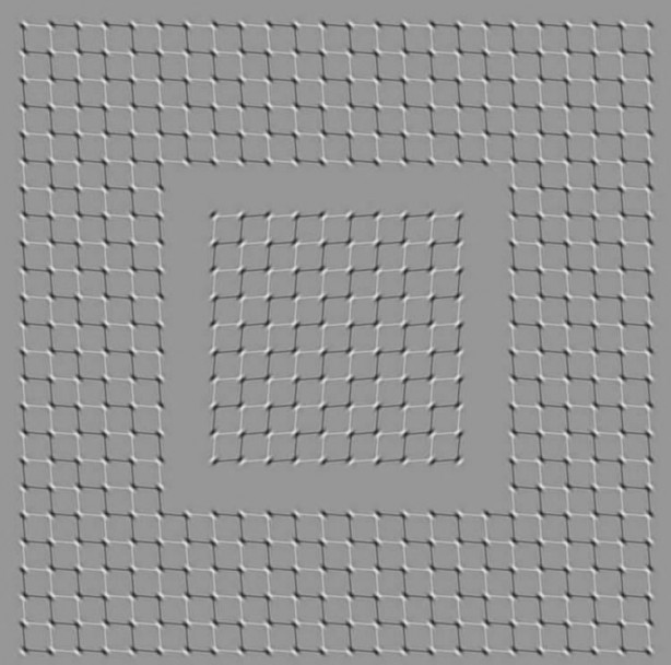 Foto - 10 kişiden sadece 1'i fark edebiliyordu! Japon profesör gerçeği açıkladı