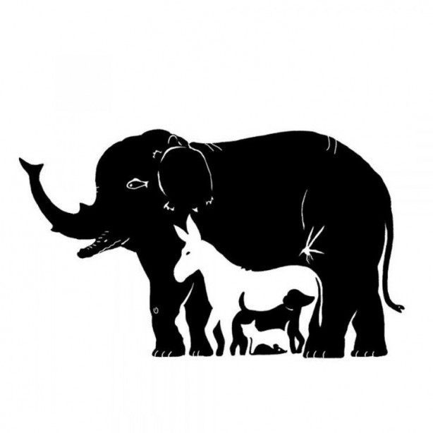 Foto - 10 kişiden sadece 1'i fark edebiliyordu! Japon profesör gerçeği açıkladı