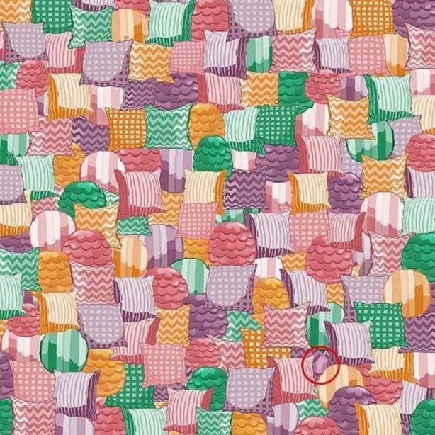 Foto - 10 kişiden sadece 1'i fark edebiliyordu! Japon profesör gerçeği açıkladı