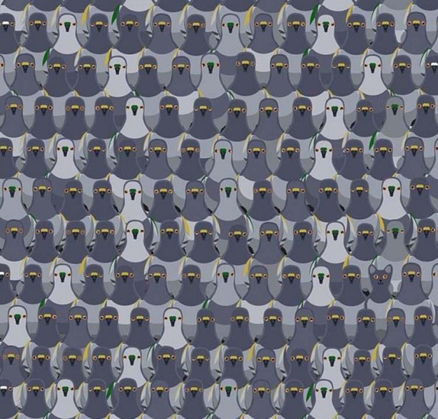 Foto - 10 kişiden sadece 1'i fark edebiliyordu! Japon profesör gerçeği açıkladı