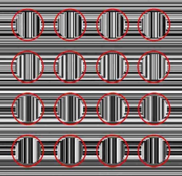 Foto - 10 kişiden sadece 1'i fark edebiliyordu! Japon profesör gerçeği açıkladı