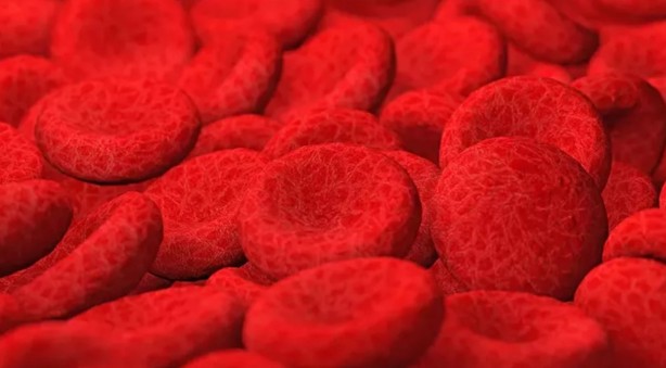 Foto - 10 yaş gençleştiriyor! Canan Karatay, yere göğe sığdıramadığı besini açıkladı