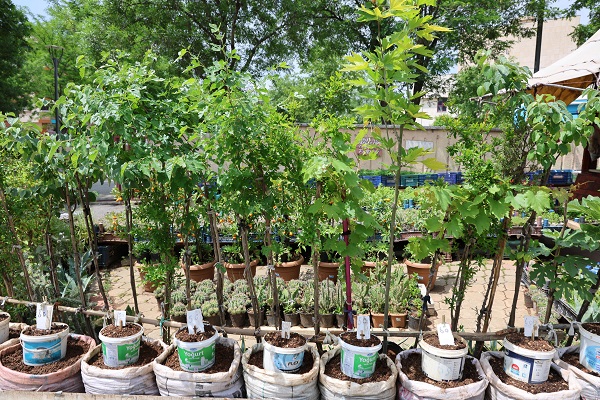 Foto - 10 yaşında başladı 60 yıldır bu işi yapıyor